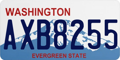 WA license plate AXB8255