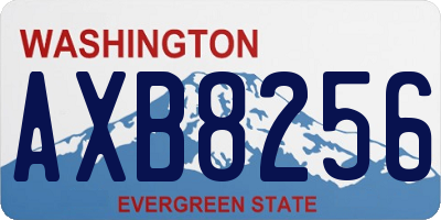 WA license plate AXB8256