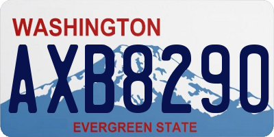 WA license plate AXB8290