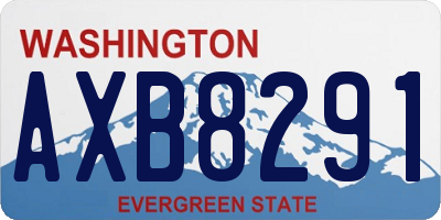 WA license plate AXB8291