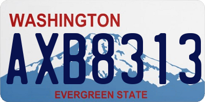 WA license plate AXB8313