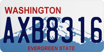 WA license plate AXB8316
