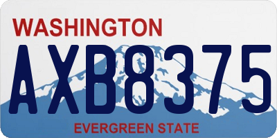 WA license plate AXB8375