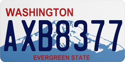 WA license plate AXB8377