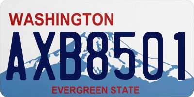 WA license plate AXB8501