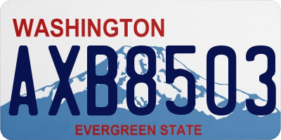 WA license plate AXB8503