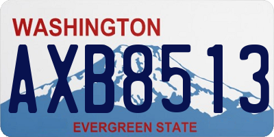 WA license plate AXB8513