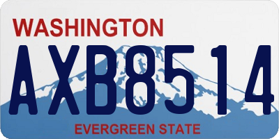WA license plate AXB8514