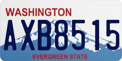 WA license plate AXB8515