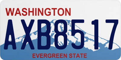 WA license plate AXB8517