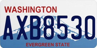 WA license plate AXB8530