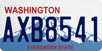 WA license plate AXB8541