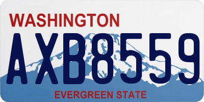 WA license plate AXB8559