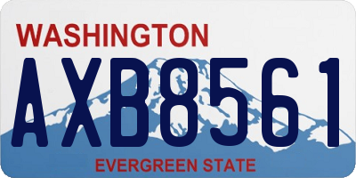 WA license plate AXB8561