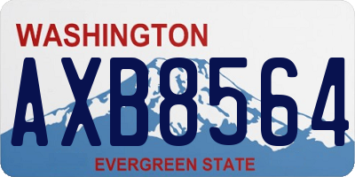 WA license plate AXB8564