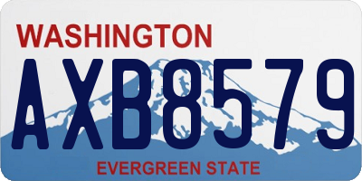 WA license plate AXB8579