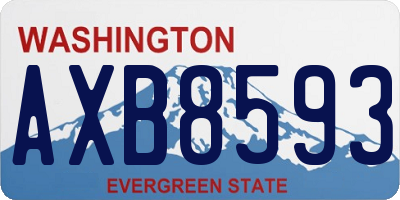 WA license plate AXB8593