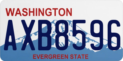 WA license plate AXB8596