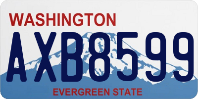 WA license plate AXB8599