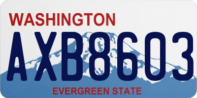 WA license plate AXB8603