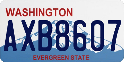 WA license plate AXB8607