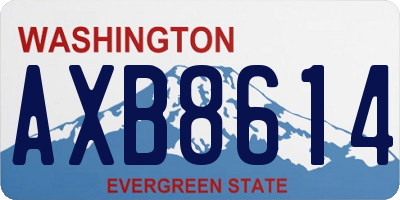 WA license plate AXB8614