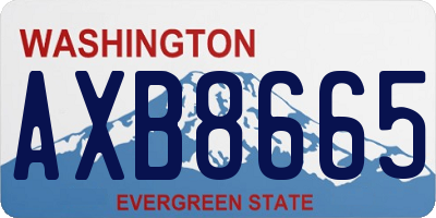 WA license plate AXB8665