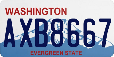 WA license plate AXB8667