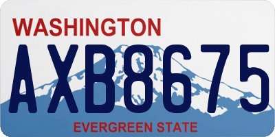 WA license plate AXB8675