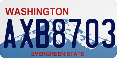 WA license plate AXB8703