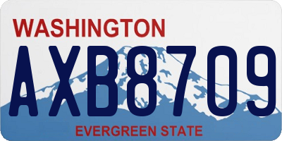 WA license plate AXB8709