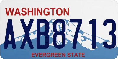 WA license plate AXB8713