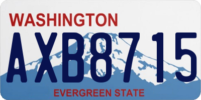 WA license plate AXB8715