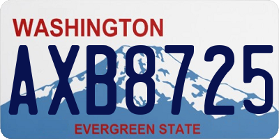WA license plate AXB8725