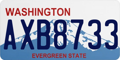 WA license plate AXB8733