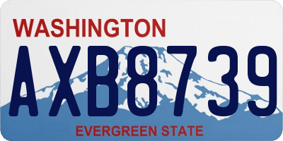 WA license plate AXB8739