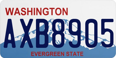 WA license plate AXB8905