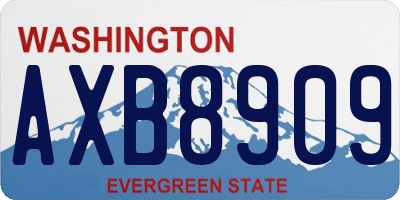 WA license plate AXB8909