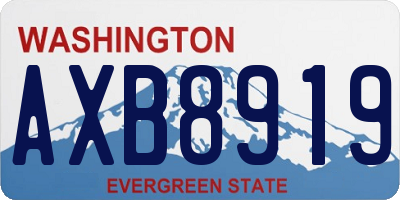 WA license plate AXB8919