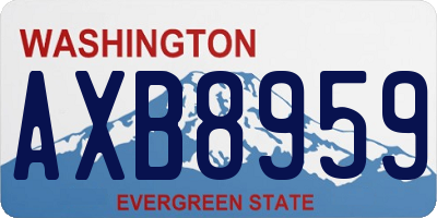 WA license plate AXB8959