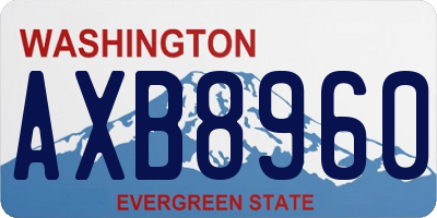 WA license plate AXB8960