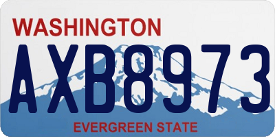 WA license plate AXB8973