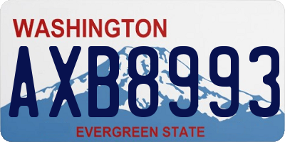 WA license plate AXB8993