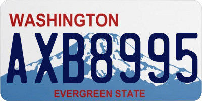 WA license plate AXB8995