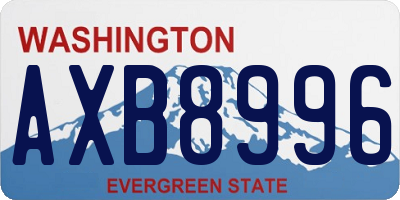 WA license plate AXB8996