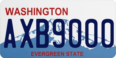WA license plate AXB9000