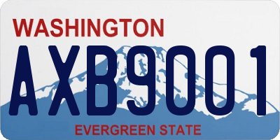 WA license plate AXB9001