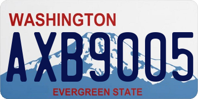 WA license plate AXB9005