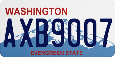 WA license plate AXB9007