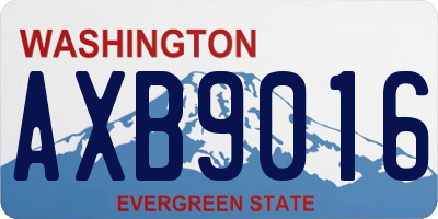 WA license plate AXB9016